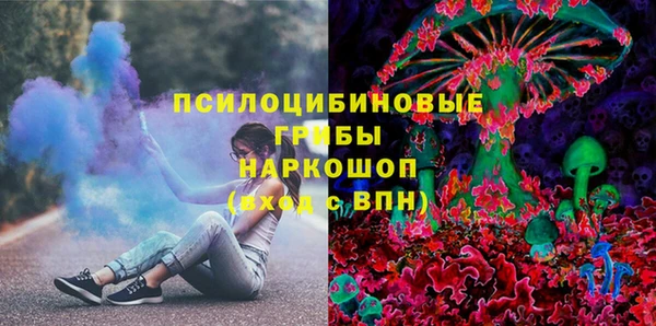 гашик Абаза