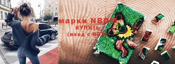 apvp Алзамай