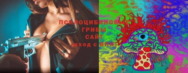 apvp Алзамай