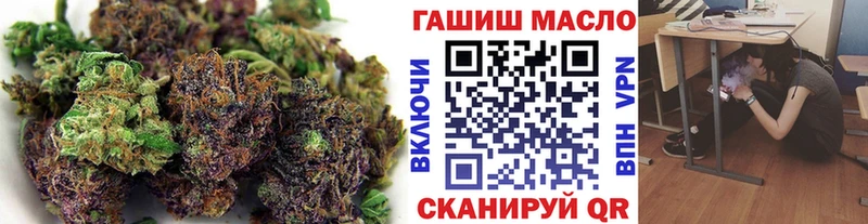 ТГК THC oil  дарнет шоп  Сусуман 